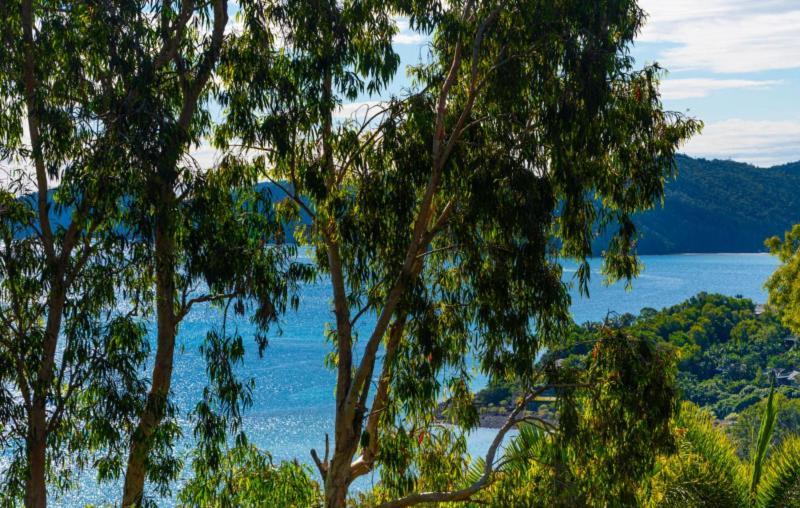 Sunset Waters Apartments Hamilton Island Bagian luar foto