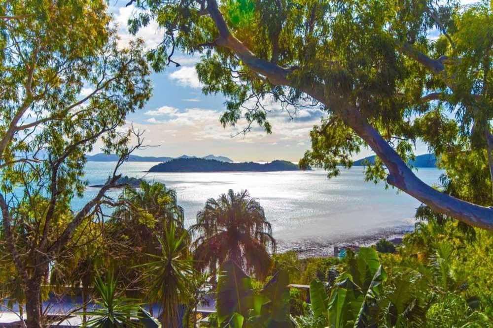 Sunset Waters Apartments Hamilton Island Bagian luar foto